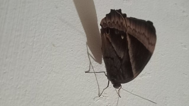 IMG20250531182014.jpg