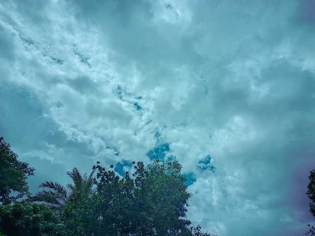 20250725_134840.jpg