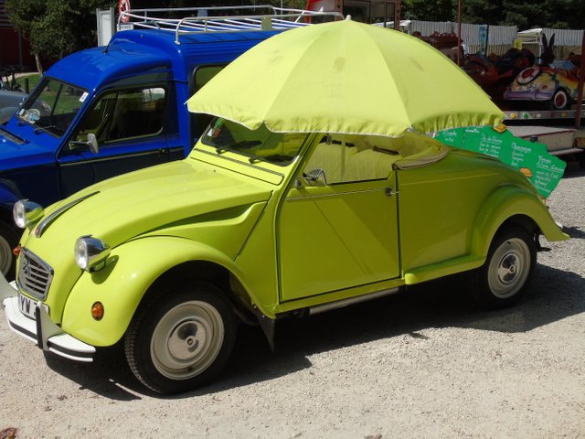 DSC08218.JPG