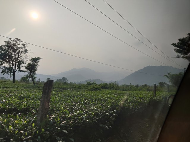 IMG_20250609_162730.jpg