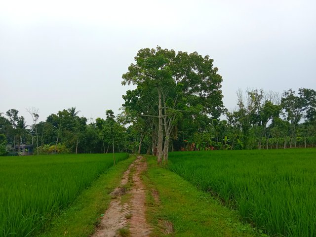 IMG_20250925_074438.jpg