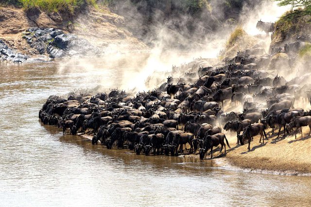 Best 5 locations for great migration on Tanzania safari in Serengeti.jpg
