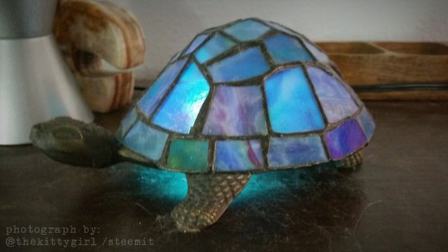 Turtle-1.jpg