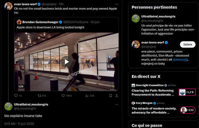Capture d’écran 2025-06-11 091606.png