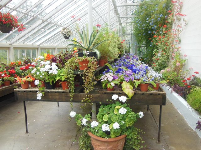 DSCN2130.JPG