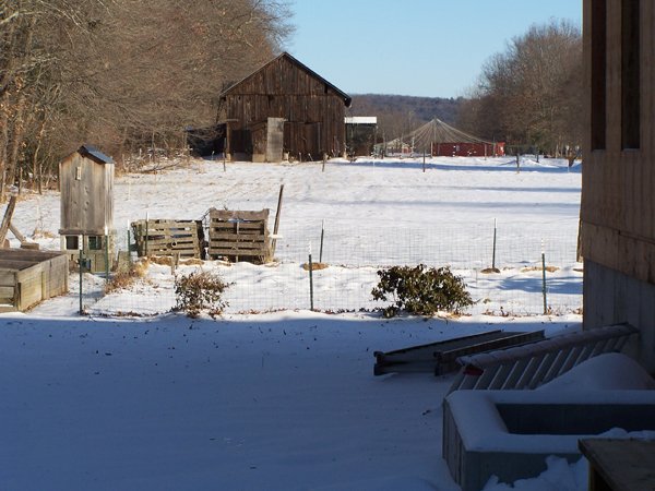 Barn crop December 2019.jpg