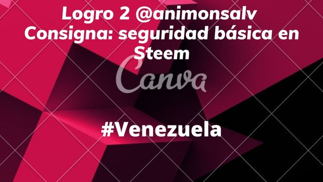 Logro 2 @animonsalv Consigna seguridad básica en Steem.jpg