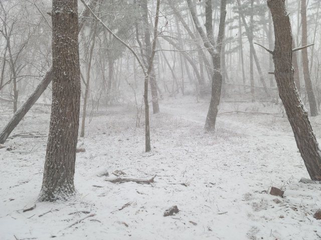 KakaoTalk_20250330_082023359.jpg