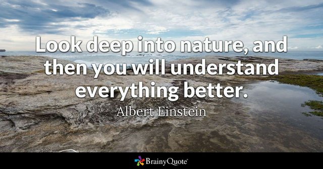 albert einstein-2.jpg