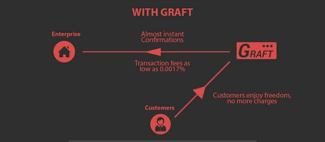 Graft-2.jpg