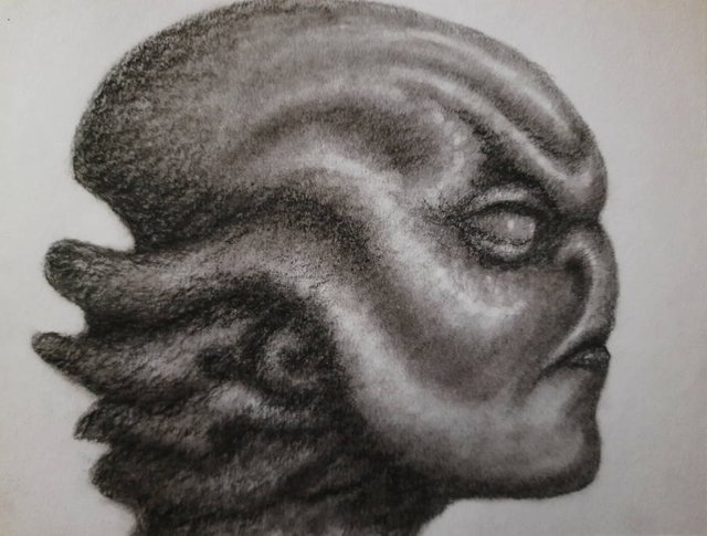 20250514_114819.jpg