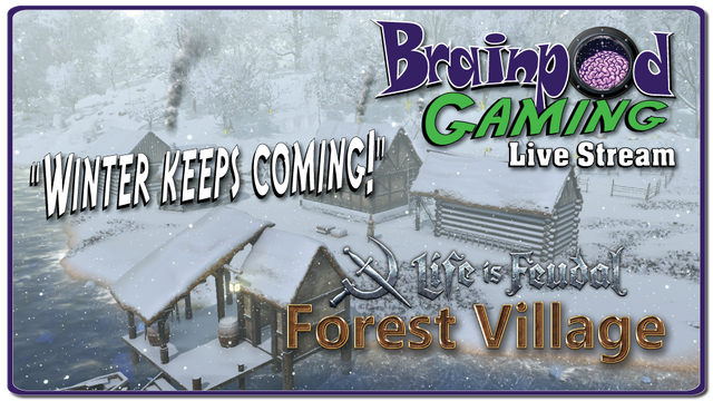 Brainpod-Gaming---Forest-Village---Winter-Winner.png