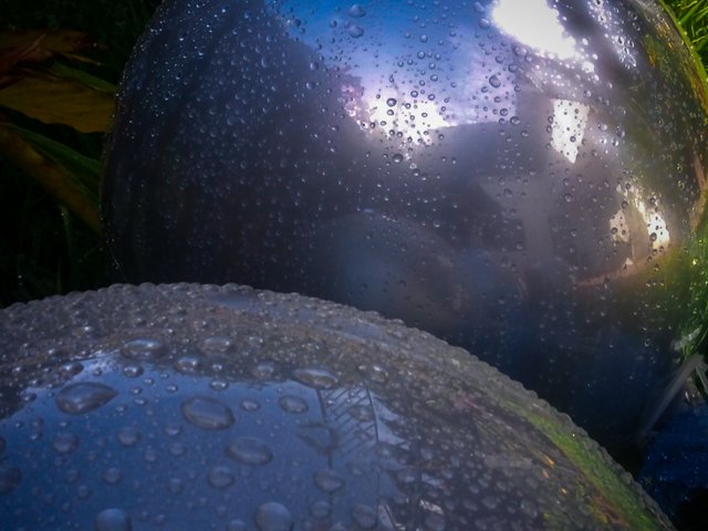 IMG_20250908_094149_649.jpg