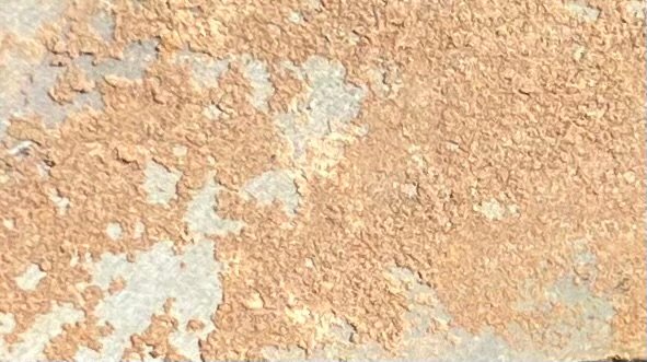 IMG_1456.jpeg