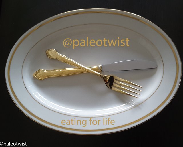 Paleotwist Logo.jfif