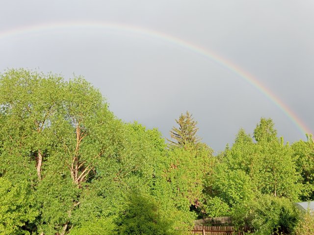 1000030445.jpg