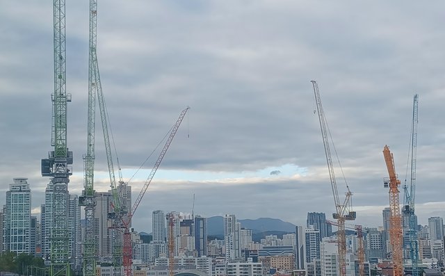 20250910_173006.jpg