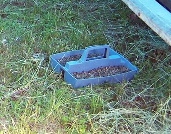 Pasture coop - 78 birds inside grit tray crop June 2016.jpg