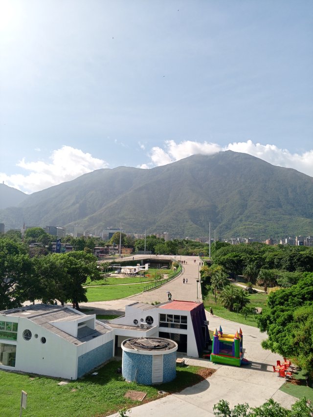 IMG_20250608_153928_404.jpg