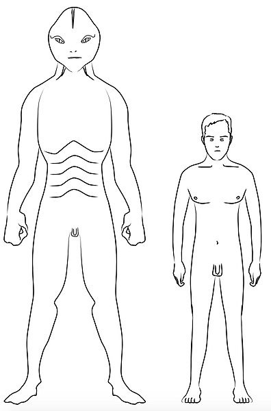 396px-Reptilian_Human_Comparison.jpg