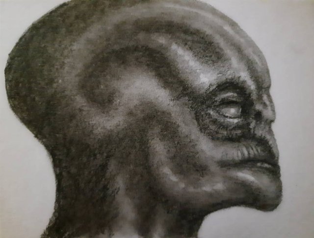 20250531_113410.jpg