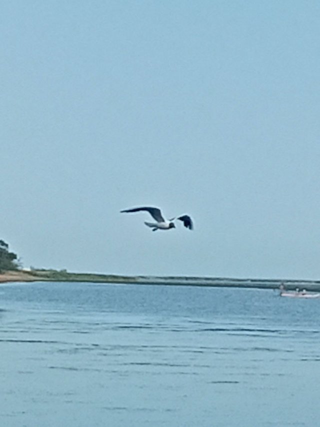 IMG_20250713_203712_234.jpg