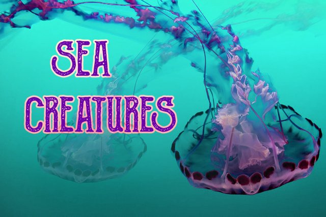 sea_creatures.jpg