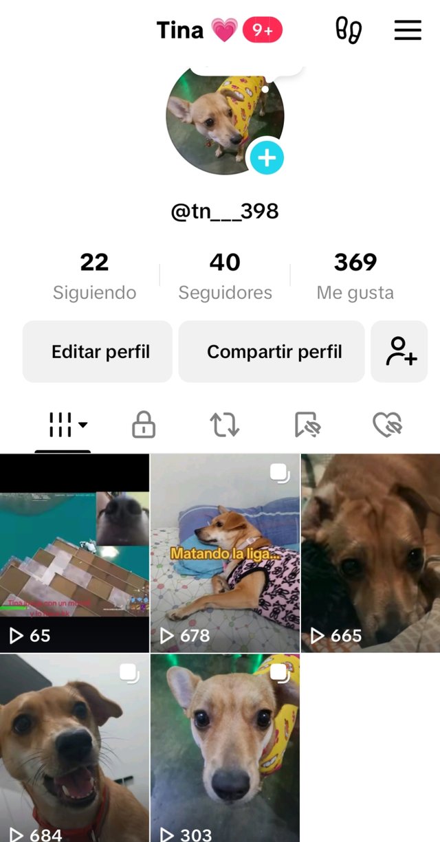 1746288332143.jpg