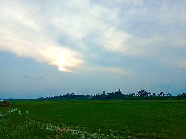 IMG_20250623_203338.jpg