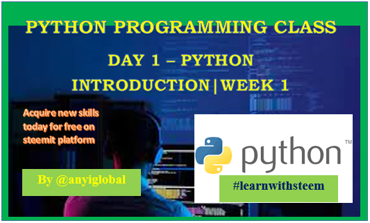 Python programming class day 1 banner.PNG