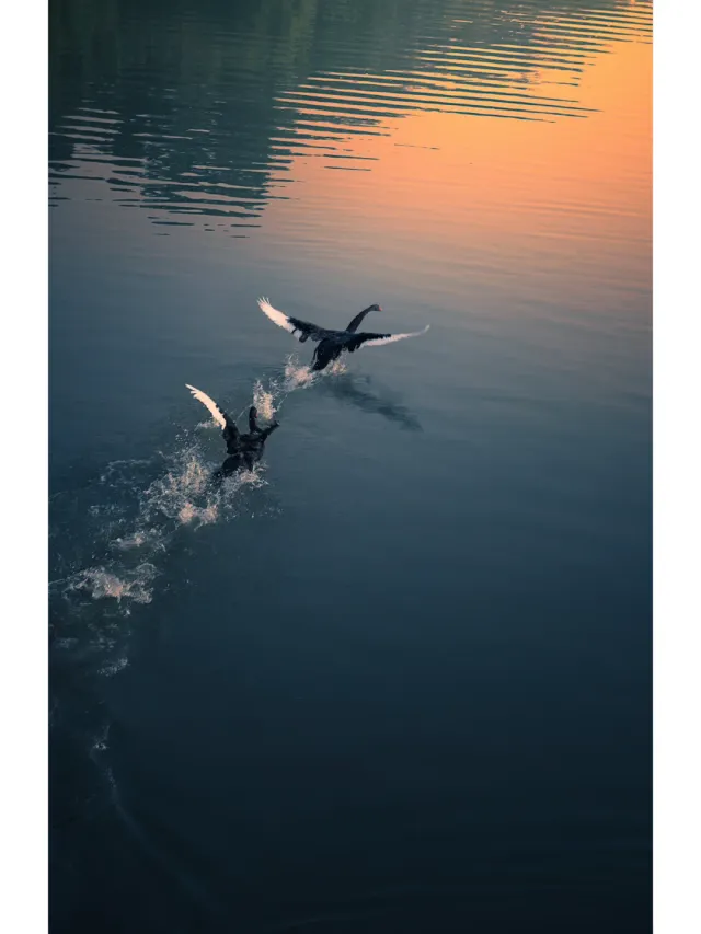 1000g0082859q1mmfk0405ncocft0bdbr9i67u9o!nd_dft_wlteh_webp_3.webp