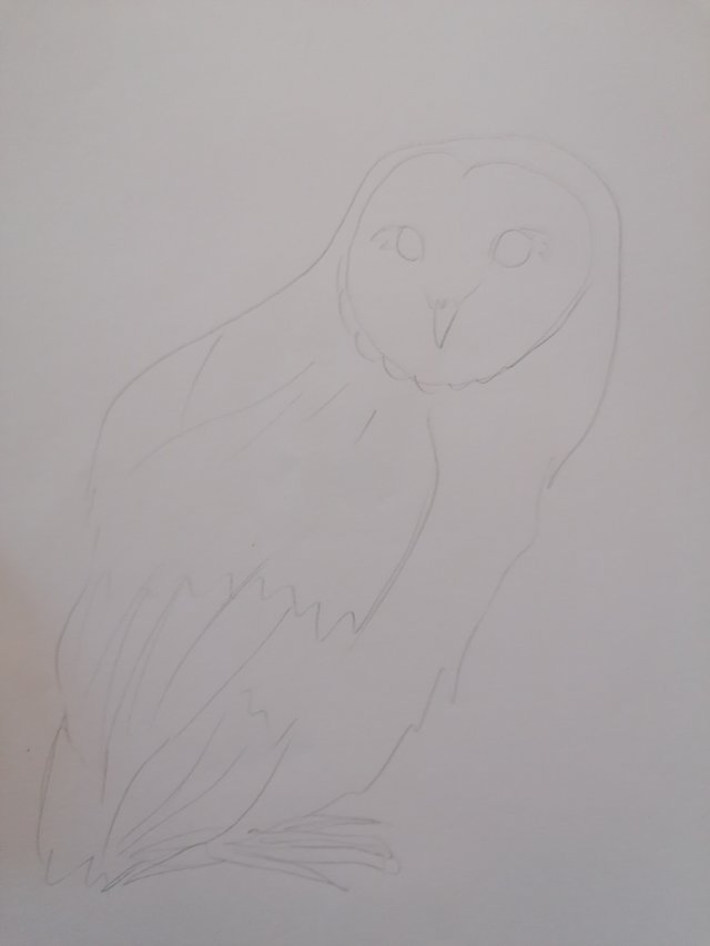 owl pen (2).jpg