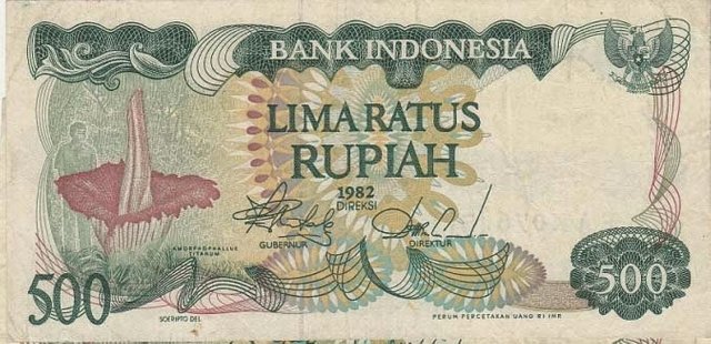 gambar uang bunga bangkai.jpg