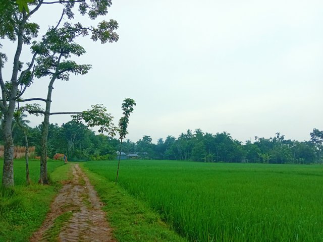 IMG_20250908_070155.jpg