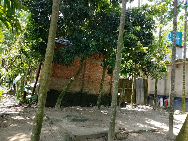 1000046246.jpg