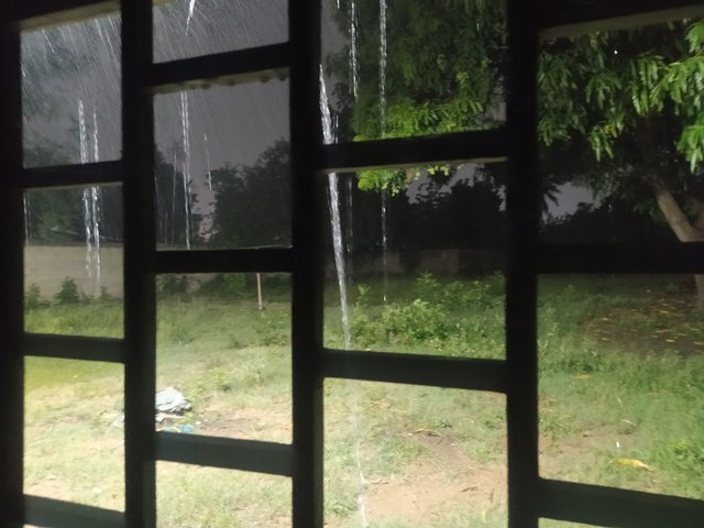IMG_20250919_201622.jpg