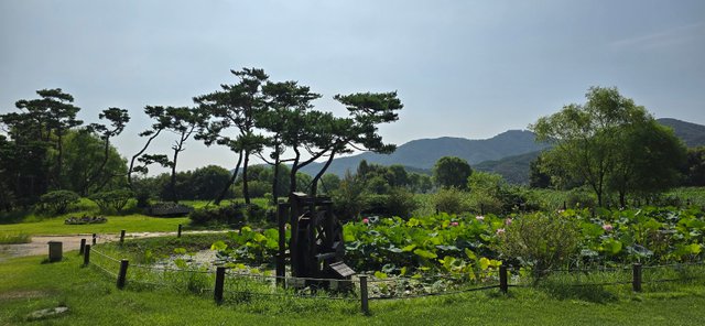 KakaoTalk_20240816_230233984_28.jpg