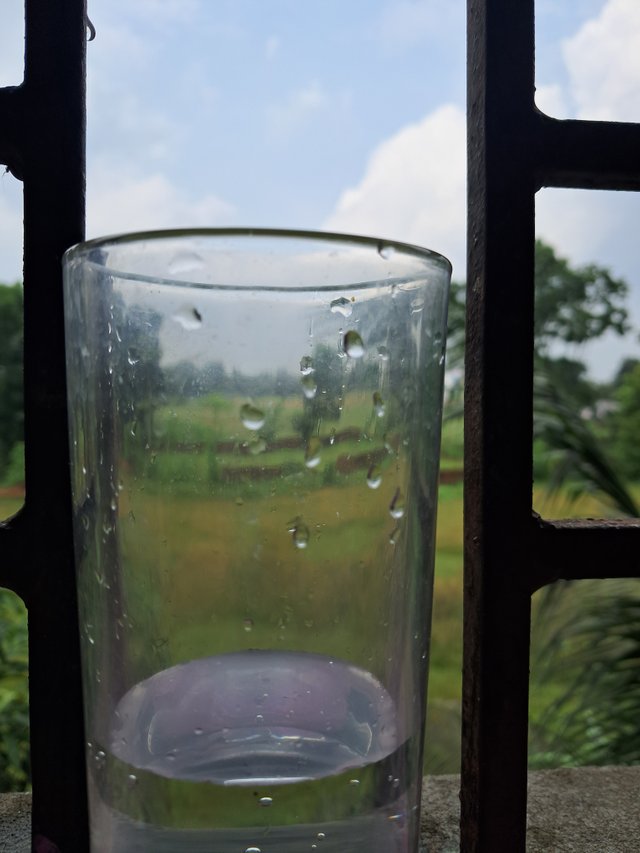 20250513_140130.jpg