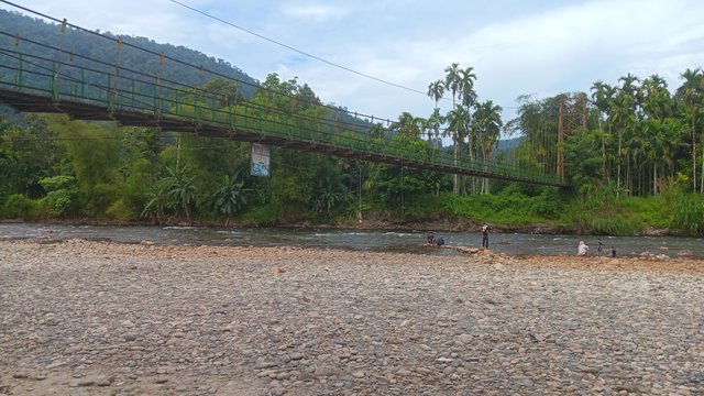 20250618_135952.jpg