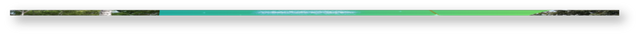 image (1).png