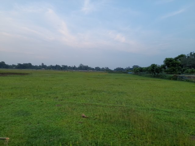 20250622_182937.jpg