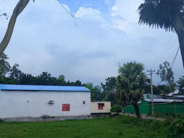 1000050270.jpg