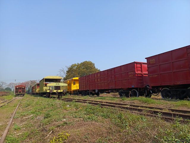 1000004247.jpg
