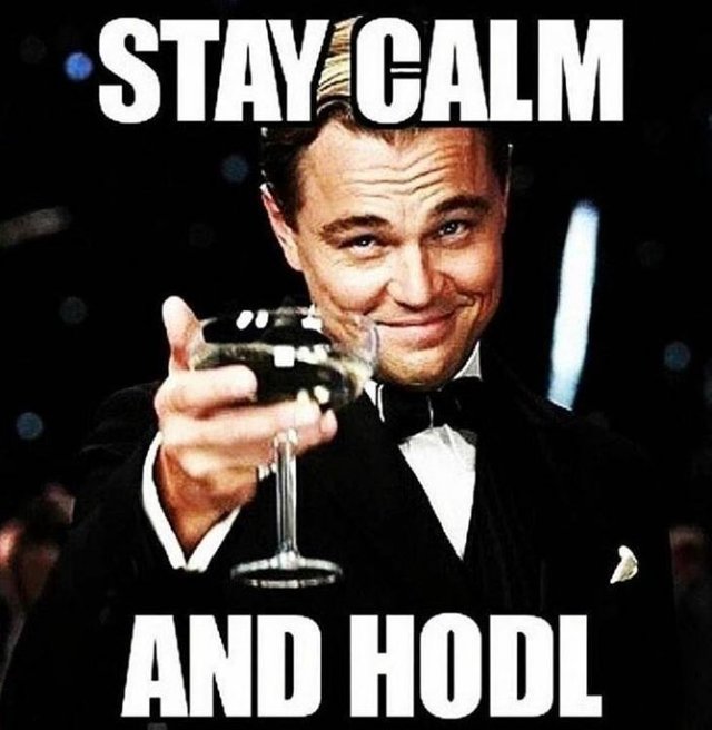 hodl.jpg