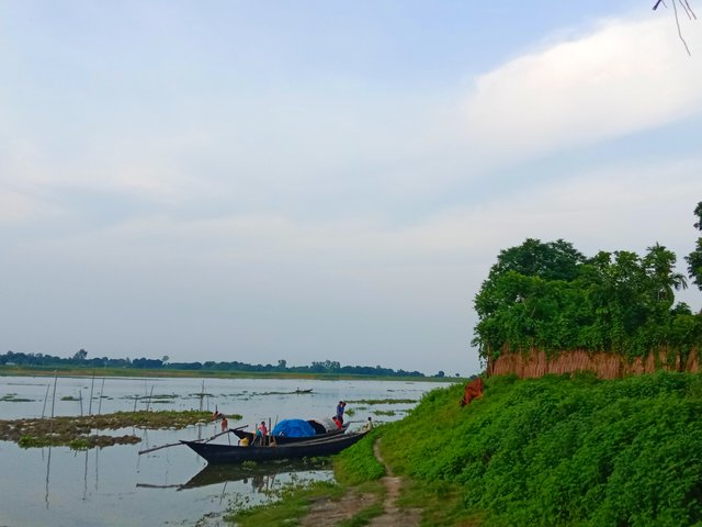 IMG_20250724_210702.jpg