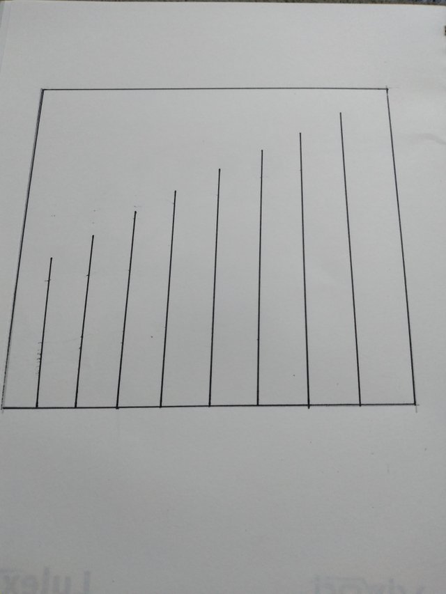 20250617_090111.jpg