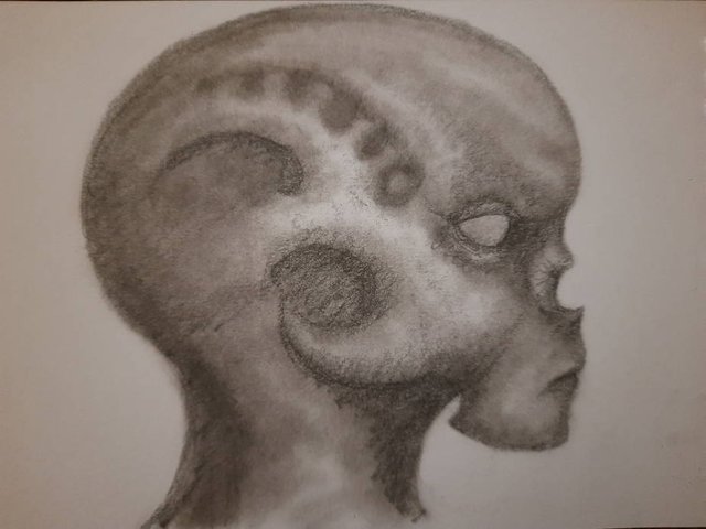 20250806_105627.jpg