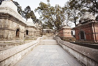 9013-small.jpg