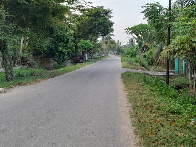 1000082841.jpg