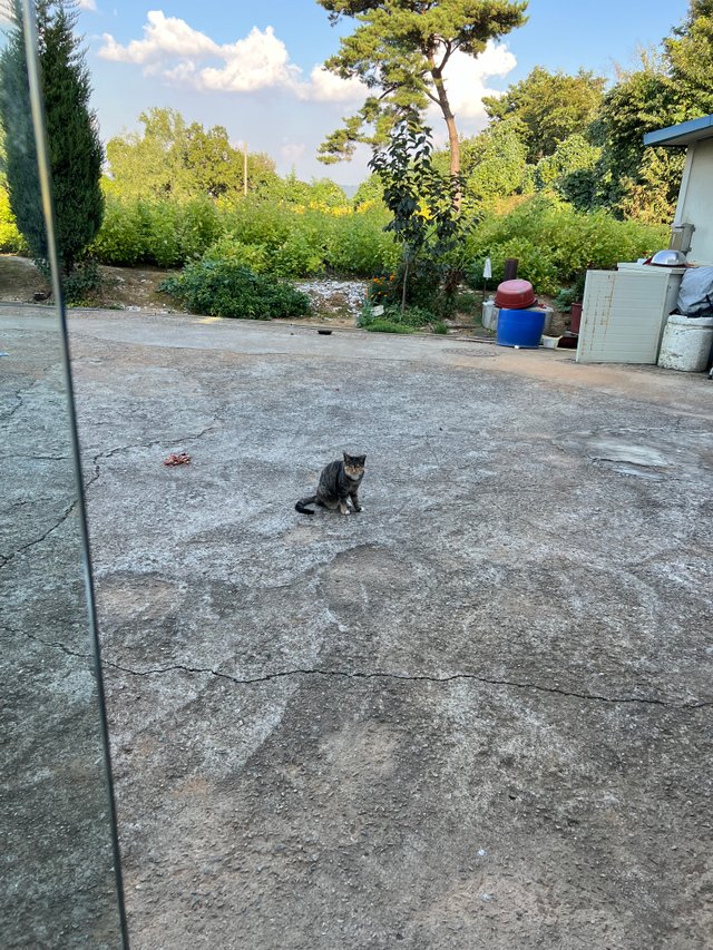 IMG_1862.jpeg